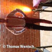 2025 Weihnachtsfeier