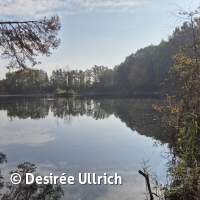 Abtauchen mit Gew&auml;sseruntersuchung 2025