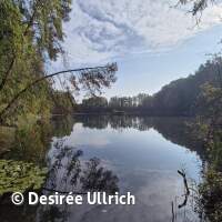 Abtauchen mit Gew&auml;sseruntersuchung 2025
