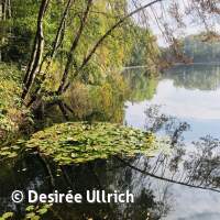 Abtauchen mit Gew&auml;sseruntersuchung 2025