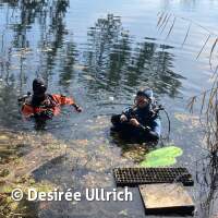 Antauchen mit Gew&auml;sseruntersuchung am Schermsee 2025