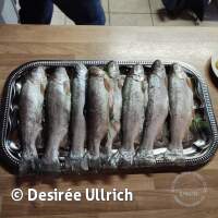 Gew&auml;sseruntersuchung am Schermsee am 01.04.2023