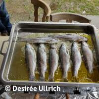 Gew&auml;sseruntersuchung am Schermsee am 01.04.2023