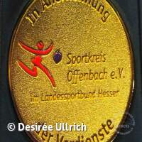 Goldmedaille f&uuml;r vielseitiges Engagement im Ehrenamt