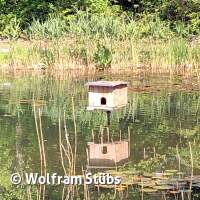 Herbsttauchgang im Schermsee