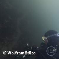 Herbsttauchgang im Schermsee