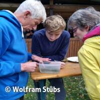 Herbsttauchgang im Schermsee