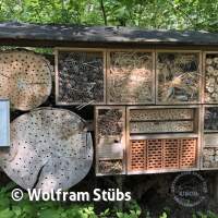 Herbsttauchgang im Schermsee