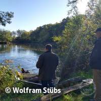 Herbsttauchgang im Schermsee