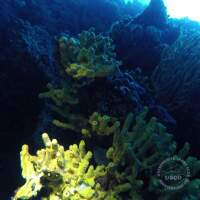 Jugendfahrt Kroatien 2017