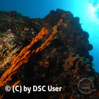 Jugendfahrt Kroatien 2017