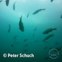 Jugendfahrt nach Sundhausen 2017