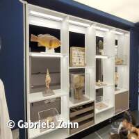 Senckenberg Ausflug  Juli '23