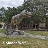 Senckenberg Ausflug  Juli '23