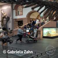 Senckenberg Ausflug  Juli '23