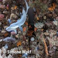 Senckenberg Ausflug  Juli '23