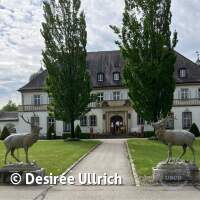 Starnberger See 2024