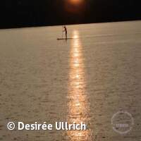 Starnberger See 2024