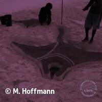 Aus Sand geformter Manta