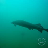 Gar nich verst&ouml;rt!