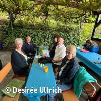 2026 Sommerfest am ASV See