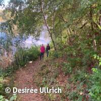 Abtauchen 23 am Schermsee