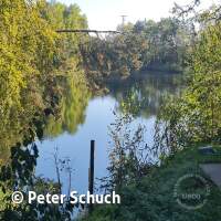Abtauchen 23 am Schermsee