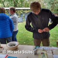 Abtauchen 23 am Schermsee