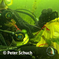 Abtauchen 23 am Schermsee