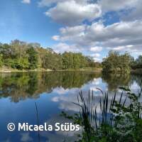 Abtauchen 23 am Schermsee