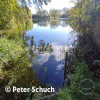 Abtauchen 23 am Schermsee