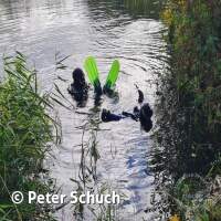 Abtauchen 23 am Schermsee