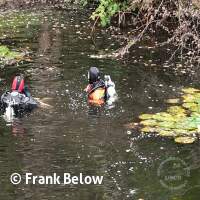 Abtauchen mit Gewässeruntersuchung Schermsee 2024