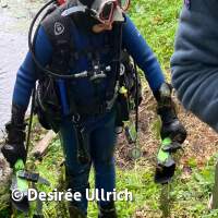 Abtauchen mit Gewässeruntersuchung Schermsee 2024