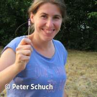 AK Orientierung 2023