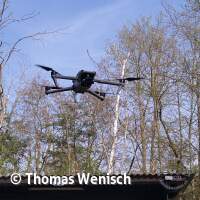 Antauchen 2026