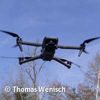 Antauchen 2026