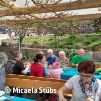 Antauchen am ASV-See 2023