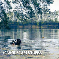 Antauchen mit Gewässeruntersuchung am Schermsee 2025