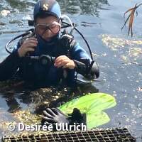 Antauchen mit Gewässeruntersuchung am Schermsee 2025