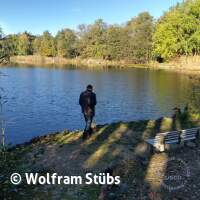 Herbsttauchgang im Schermsee