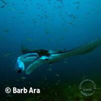 Davon gab es 15 Stück um uns herum ;-)