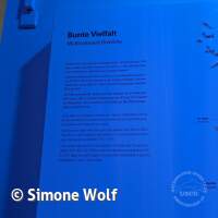 Senckenberg Ausflug  Juli '23