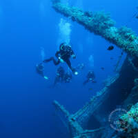 Seven Seas Trip 2017