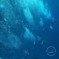 Seven Seas Trip 2017