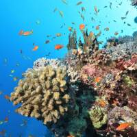 Seven Seas Trip 2017