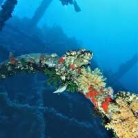 Seven Seas Trip 2017