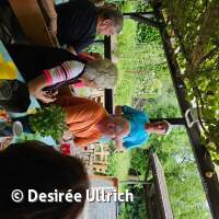 Sommerfest 2024 am ASV-See